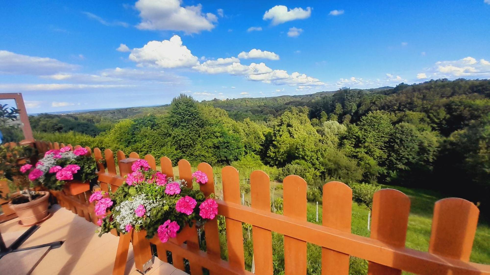 Kuca Za Odmor Klet Saban Villa Siljakovina Dış mekan fotoğraf